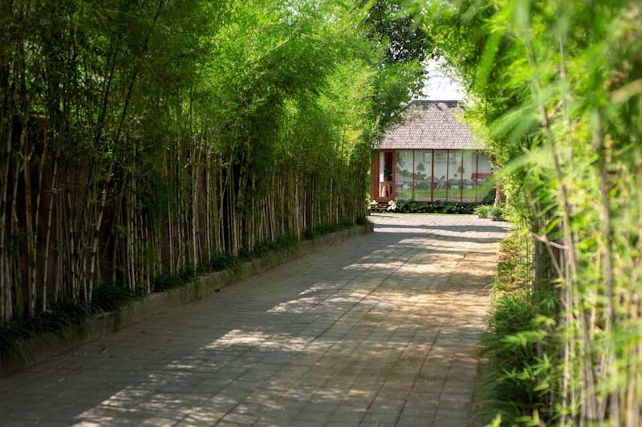 Dusun Ubud Kültér fotó
